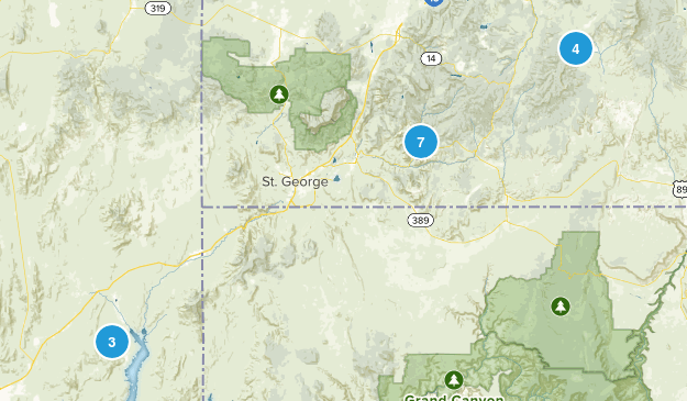 downloaded Map