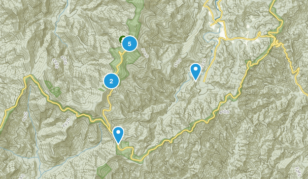 Mnt Mitchell Map