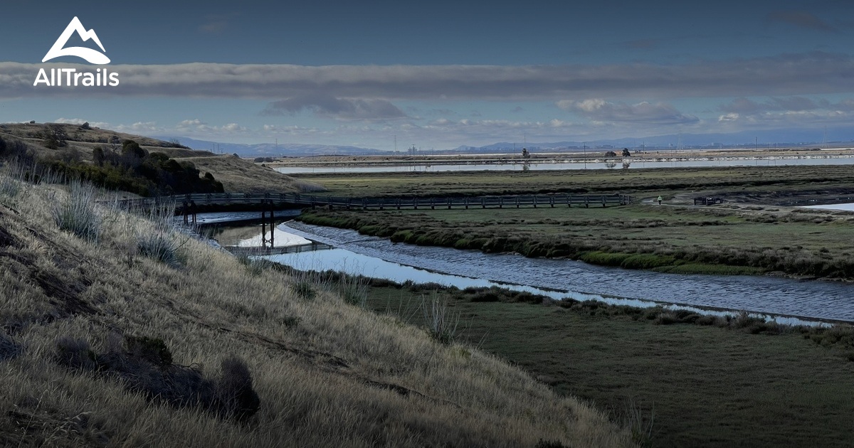 San Francisco Bay Trail Project - Lists 10646423 20181029041056000000 1200x630 3 P37429990 