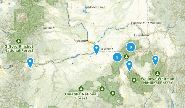 WA Map
