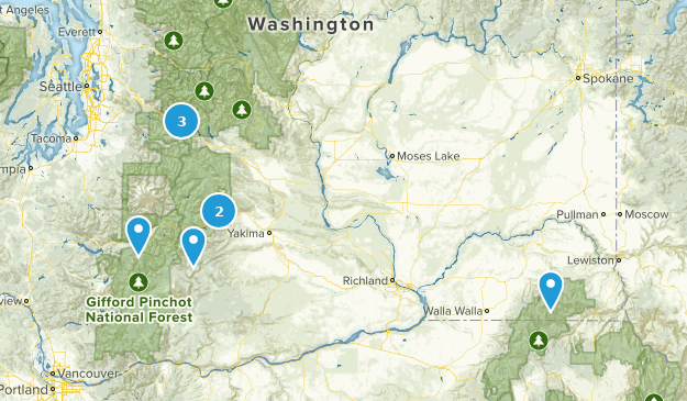 todo Map