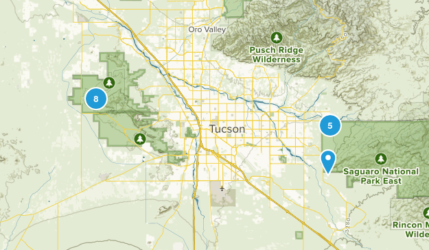 saguaro Map