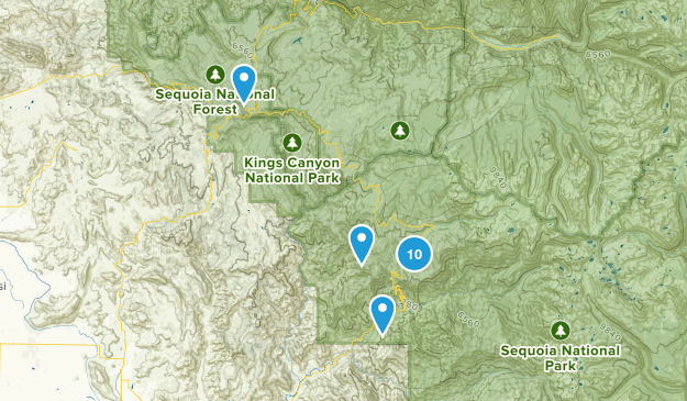 10 - sequoia Map