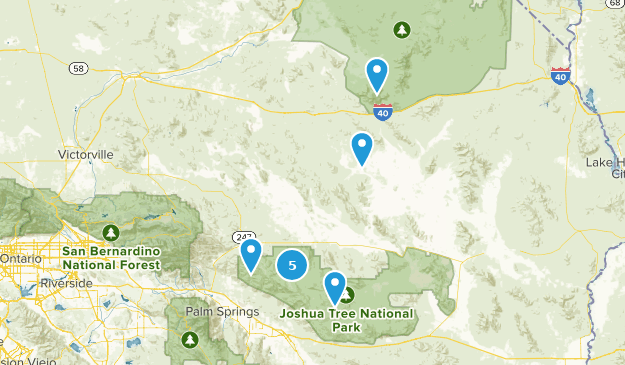 Joshua tree Map