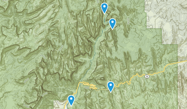 Zion Map