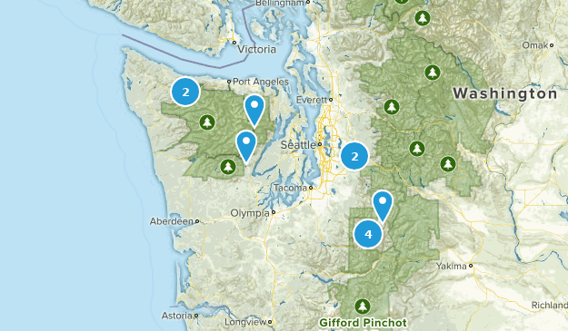 USA WA Map