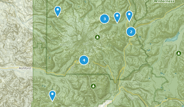 Mt Rainier ⛰ Map
