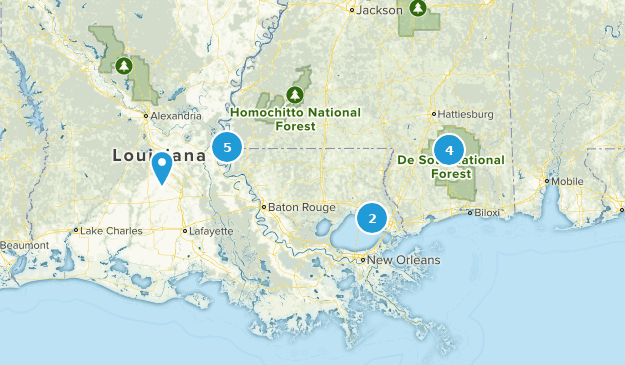 Within Driving Map