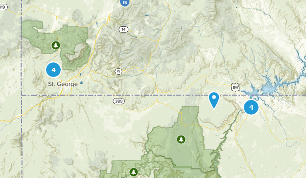 trip Map