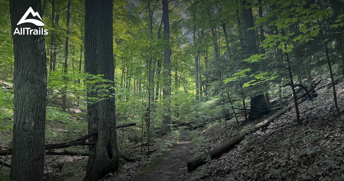 OHIO: Mohican State Park | List | AllTrails