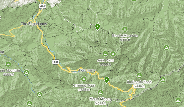 Mount LeConte hike  List  AllTrails