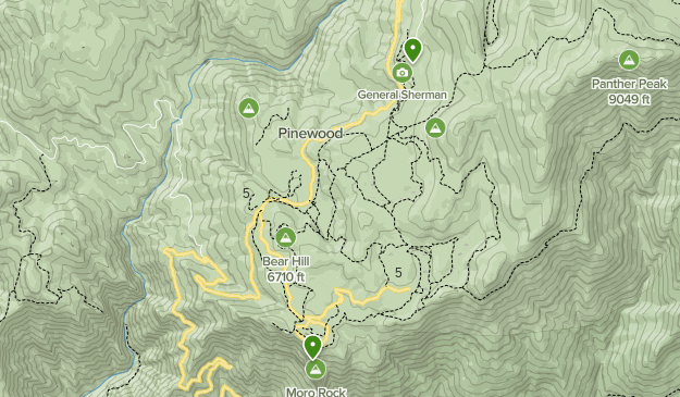 Giant forest 2025 trail map