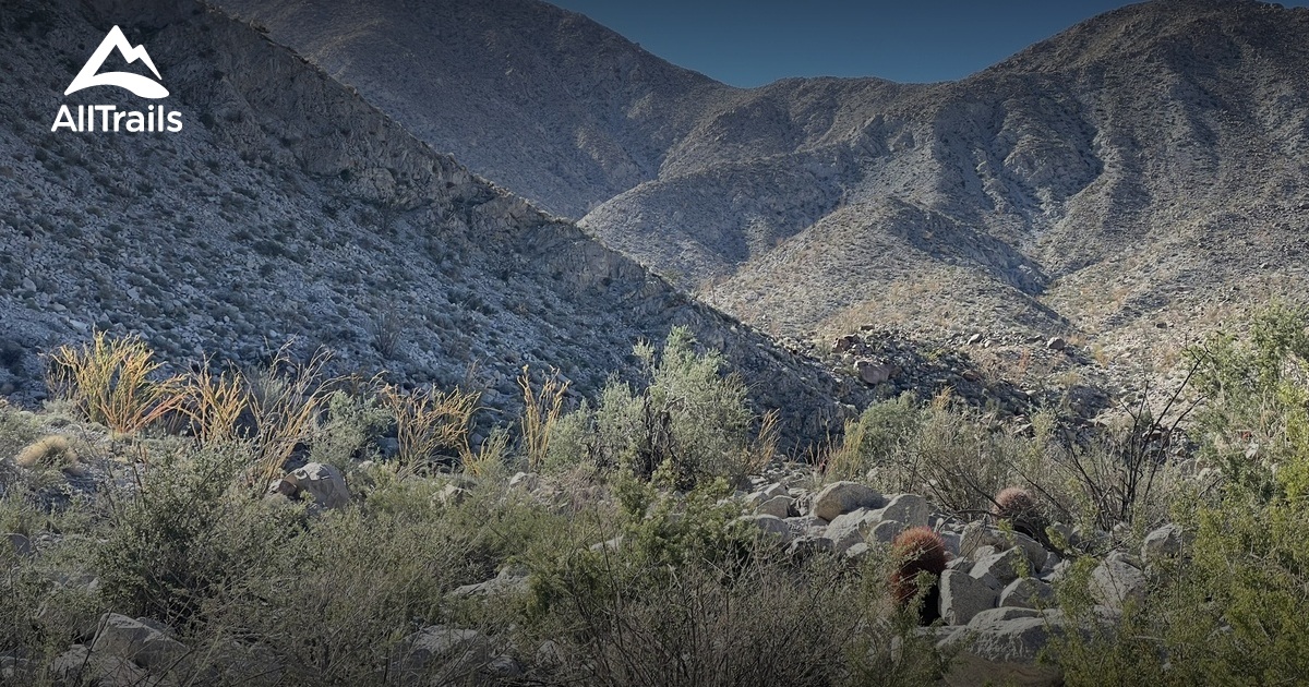 Borrego Trails | List | AllTrails