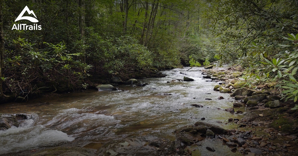 Roan Mtn State Park List AllTrails