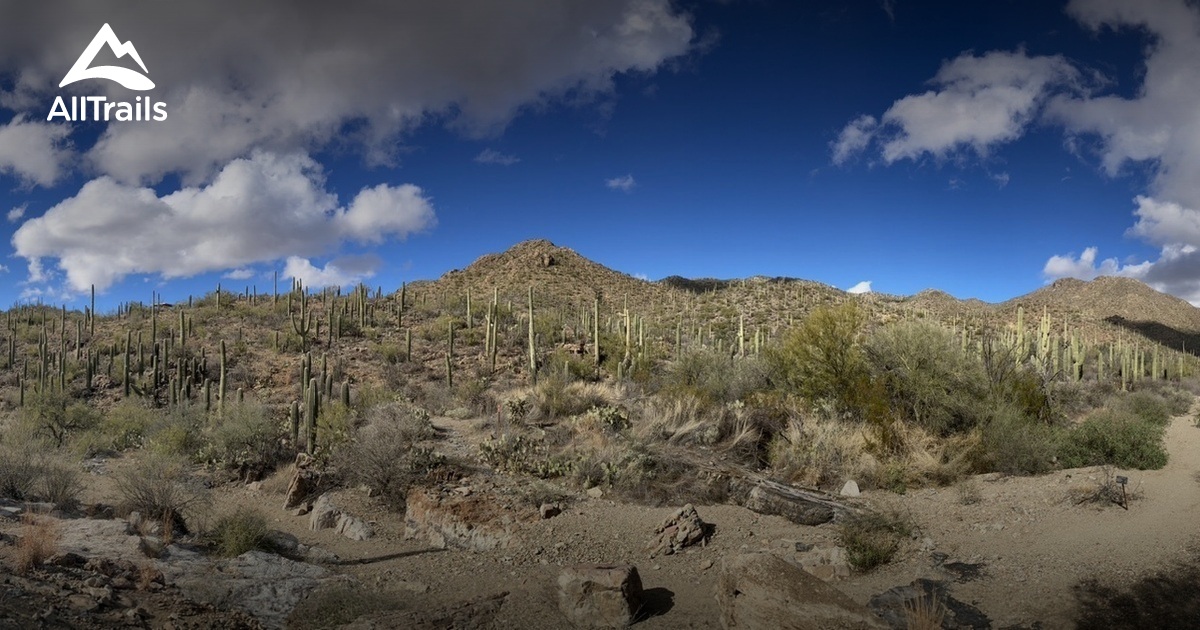 Sonoran Desert Museum | List | AllTrails