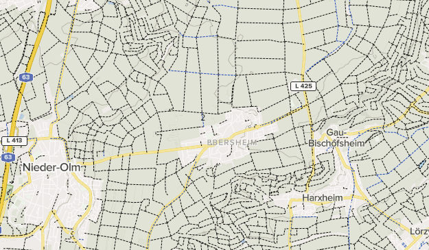 Herbstlauf Ebersheim Map