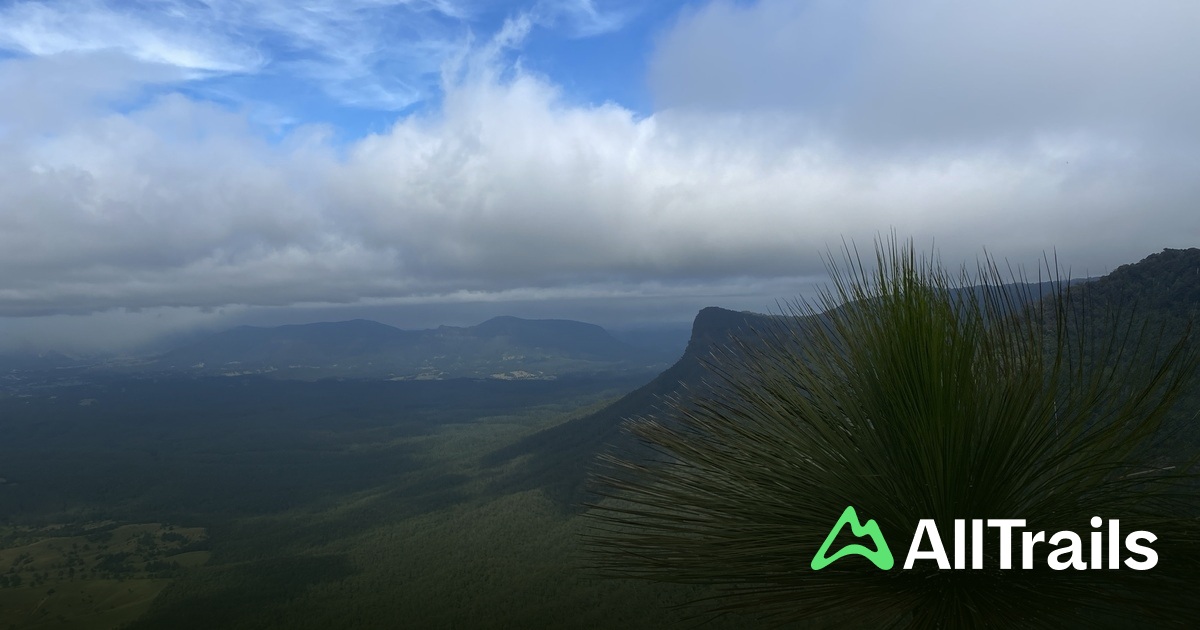 Mtb Border Ranges Border Ranges National Park | List | AllTrails