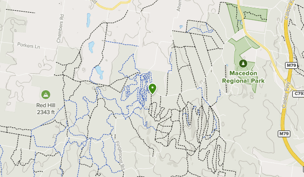 Wombat State Forest Trail Map Wombat State Forest | List | Alltrails