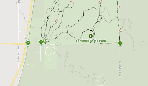 Sand Hills State Park | List | AllTrails