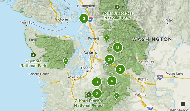 Local Map
