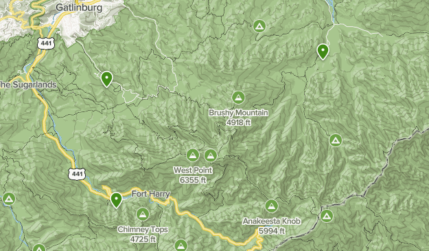 Smoky Mtn Flower Trails List - Lists 11372792 20200320124713000000000 625x365 1 