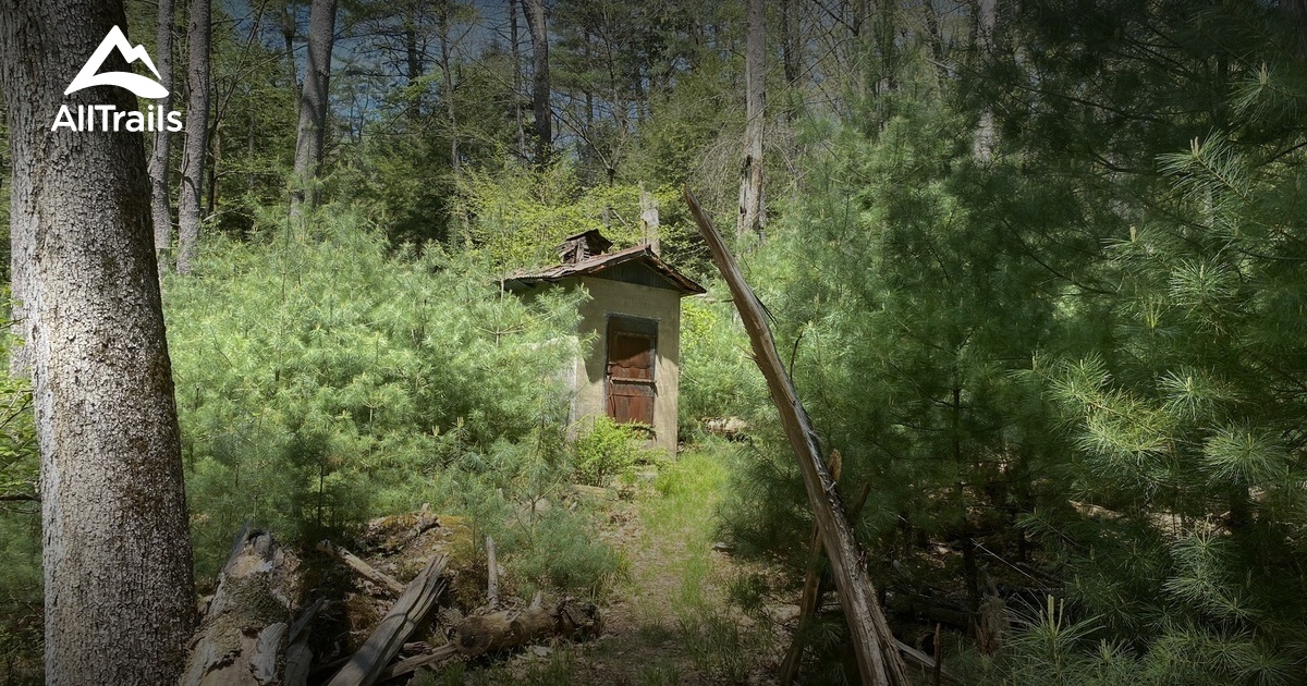 Cooks Forest State Park List - Lists 11387094 20230523015839000000 1200x630 3 P59527927