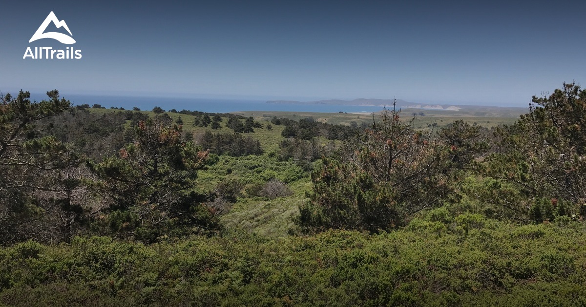 Point Reyes with dogs | List | AllTrails