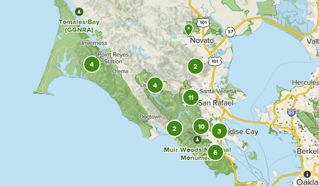 Marin Hiking Trails | List | AllTrails