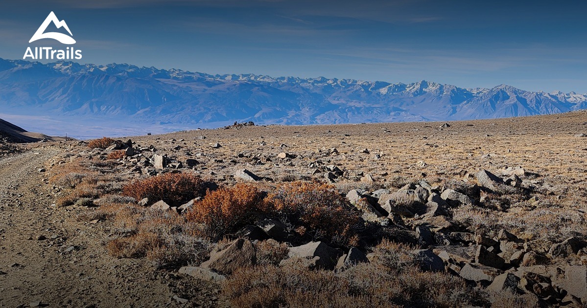 Boundary Peak Wilderness | List | AllTrails