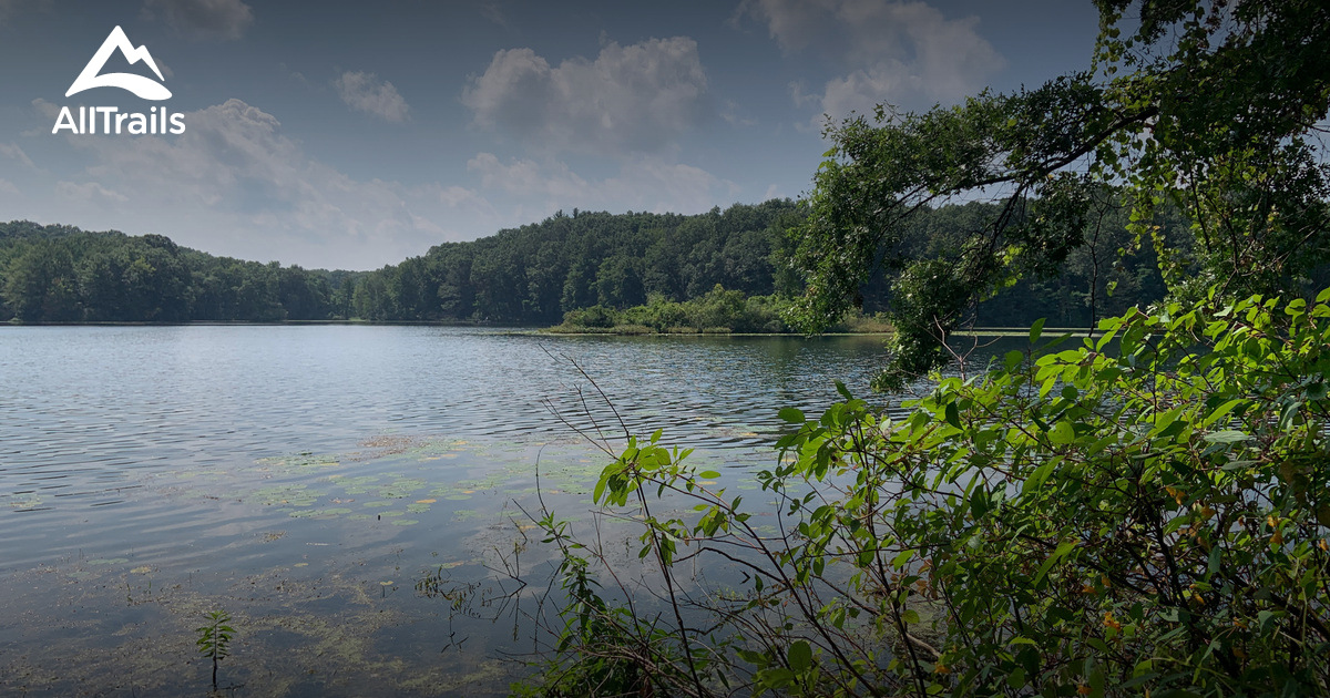 Lakeshore Trail | List | AllTrails