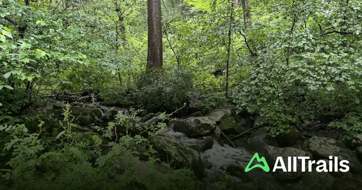 Nice hikes near me