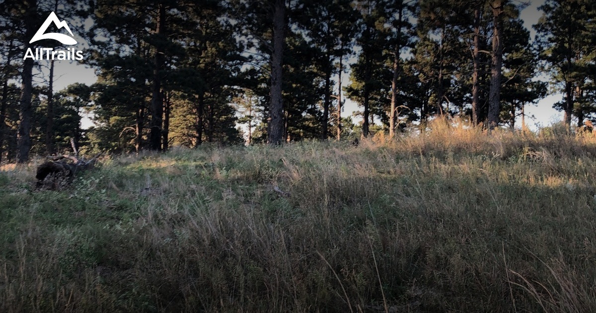 Nebraska National Forest - Halsey | List | AllTrails