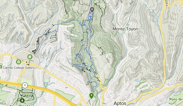 Nisene Marks Trail Map Forest Of Nisene Marks | List | Alltrails