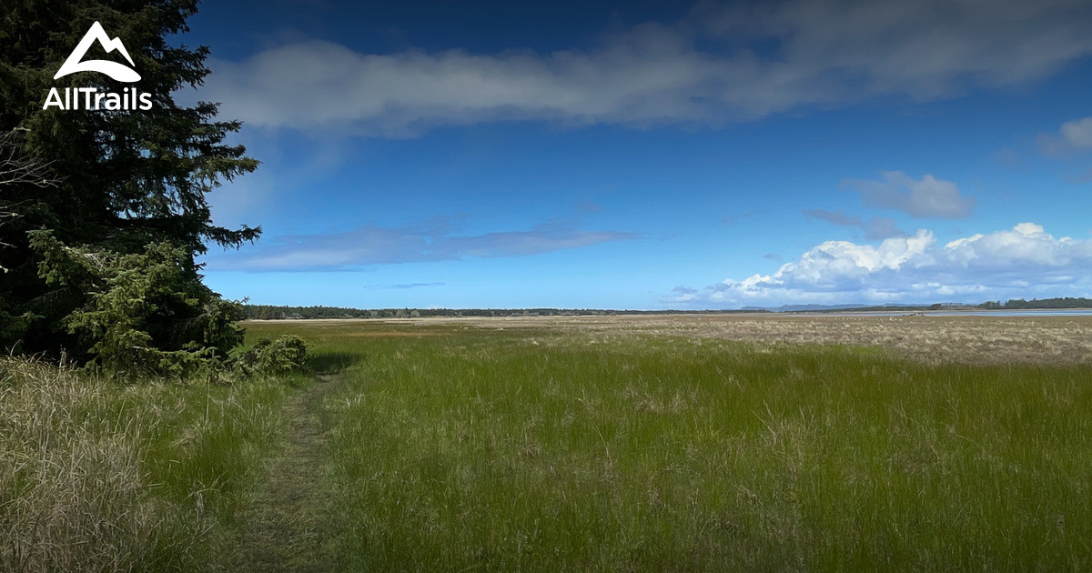 Best Hikes W Dogs Western WA List AllTrails