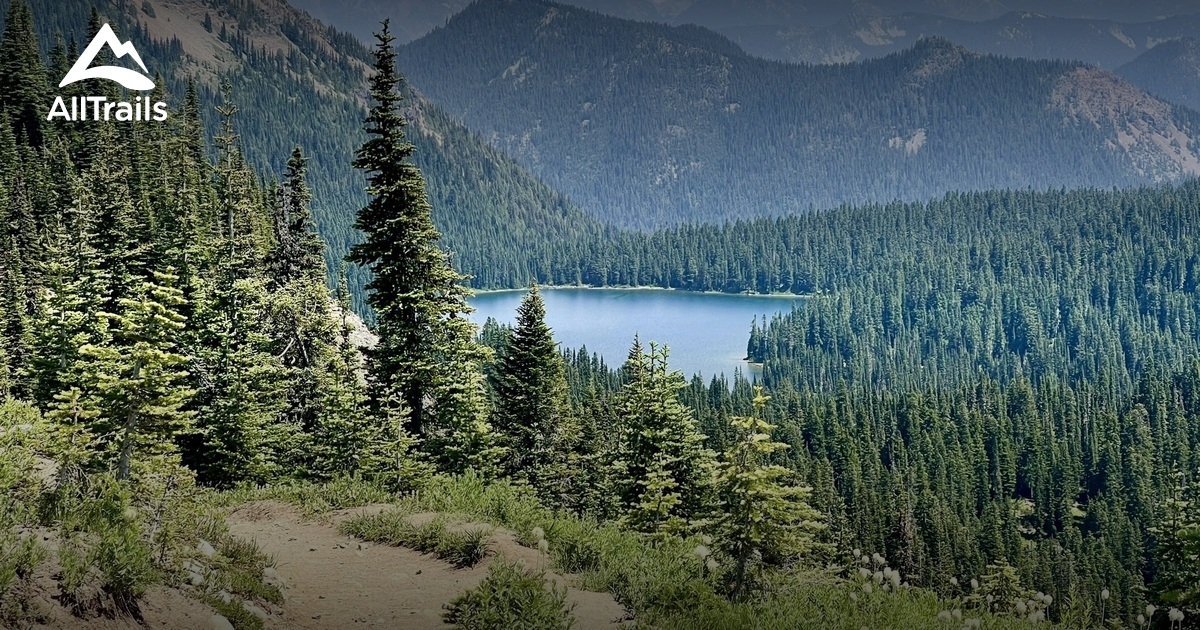 mt rainier List AllTrails