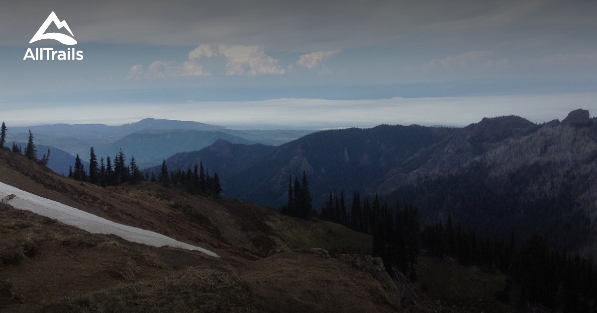 Olympic Peninsula Hiking Trails Adventure Awaits