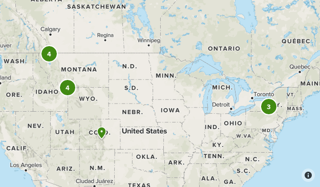 Check out Map