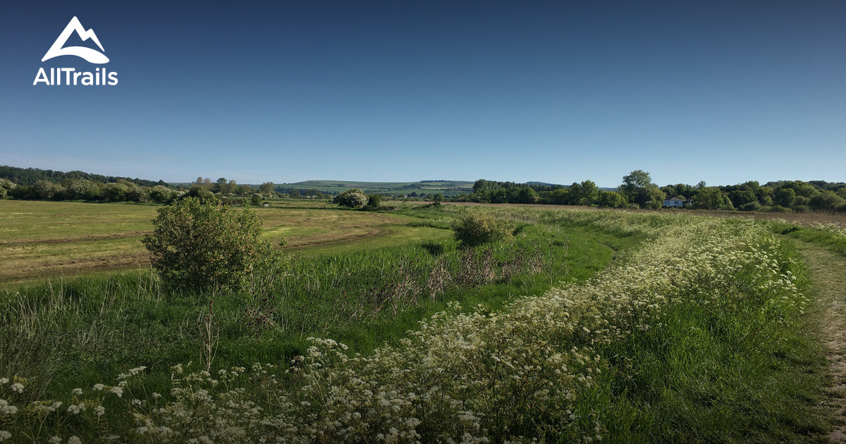 West Sussex walks | List | AllTrails