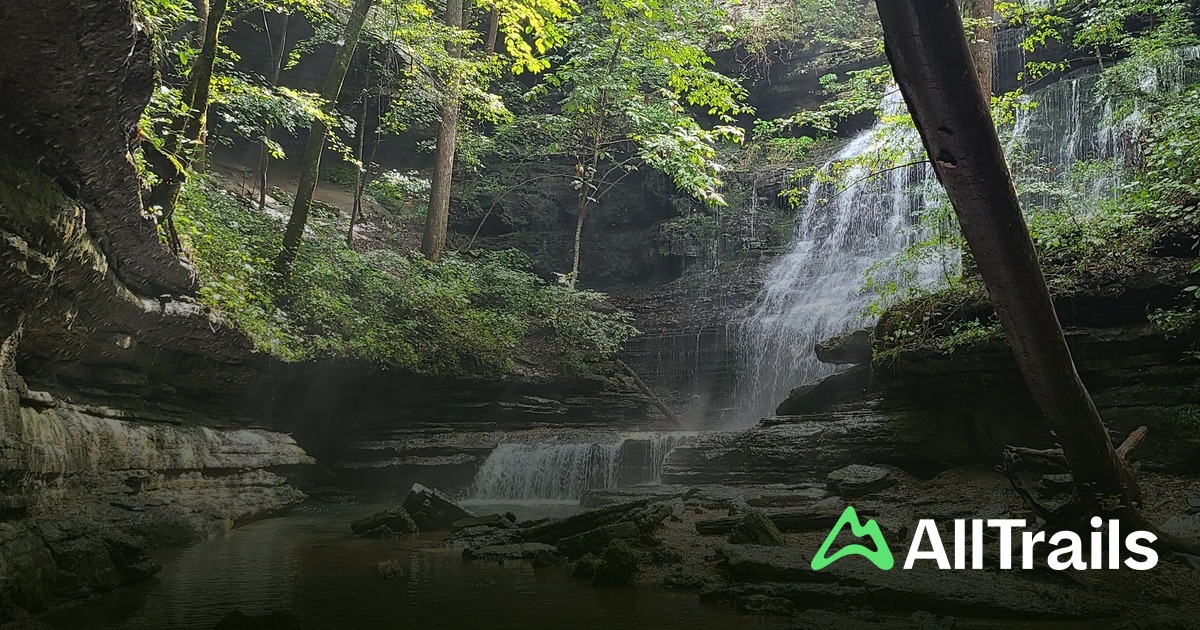 Top 20 Waterfalls | List | AllTrails