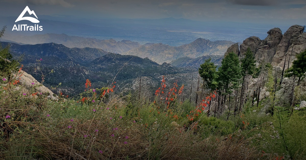 Mt Lemmon List AllTrails