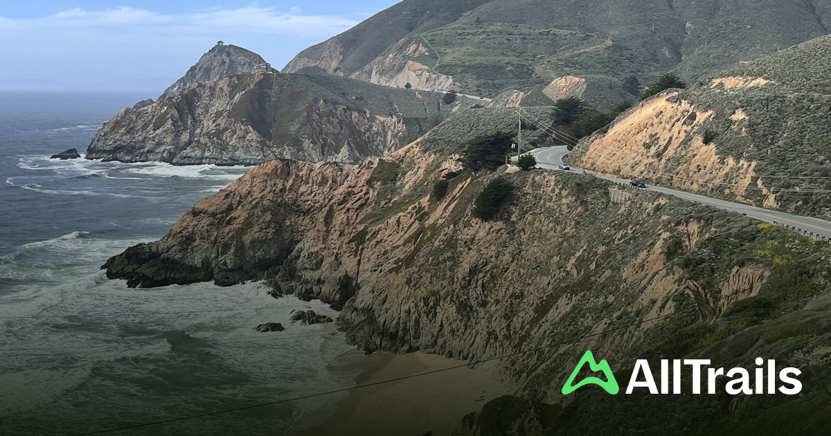 whale Trails | List | AllTrails
