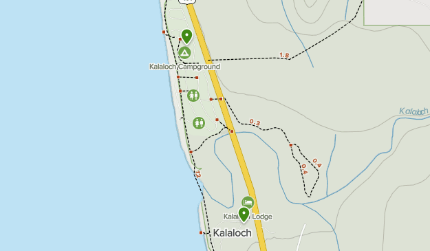 Kalaloch Campground List AllTrails   Lists 12657031 20200725222820000000000 625x365 1 