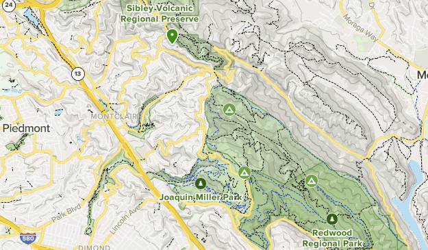 Forest running List AllTrails - Lists 12740774 20200813000323000000000 625x365 1 