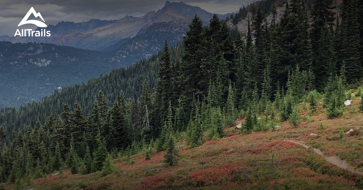 Spider Gap/Buck Creek Loop List AllTrails