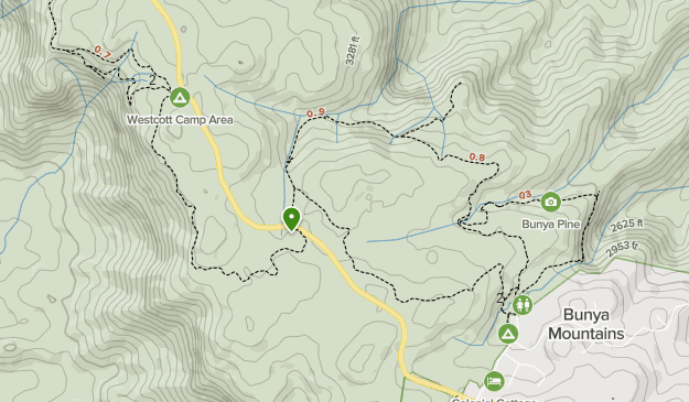 Bunya Mountains National Park | List | AllTrails