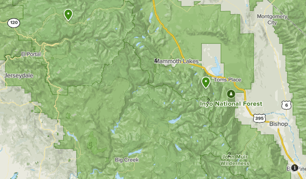 holly molly Map