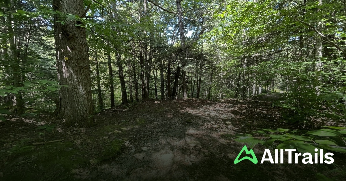 Manor Ridge Trail Livingston Manor Trails | List | AllTrails