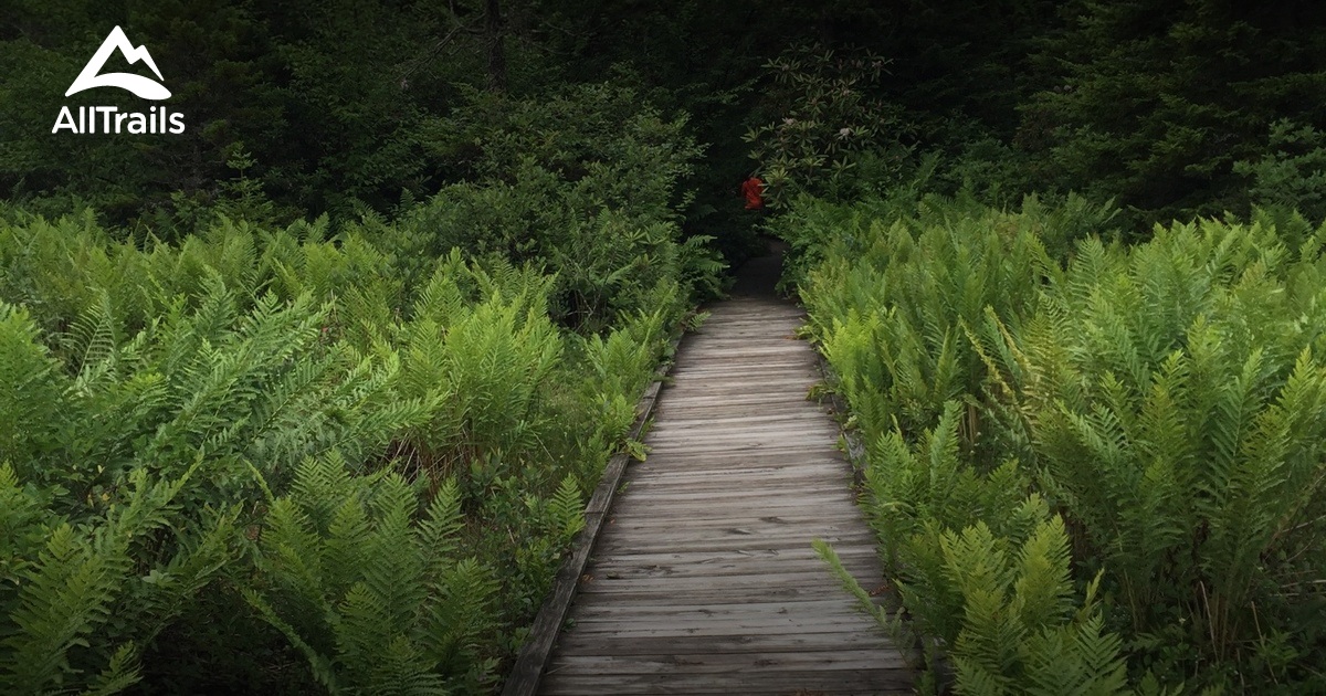 Cranberry Glades Trails List AllTrails