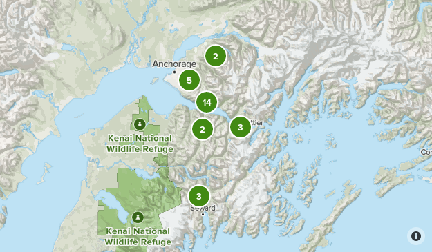 Alaska 2020 Map
