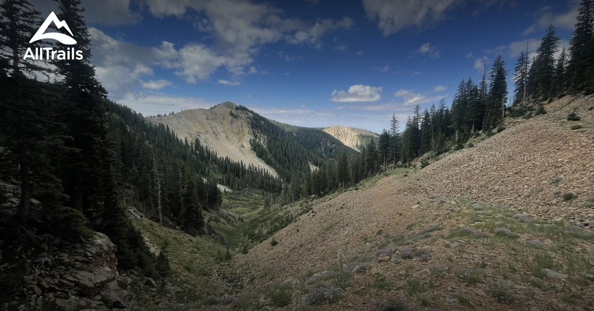 Best dog hikes Utah List AllTrails